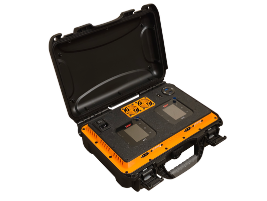 The Mini Beast G2 - 1000W Nanuk 909